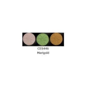 L.A. COLORS 3 Color Eyeshadow (Option: Marigold)