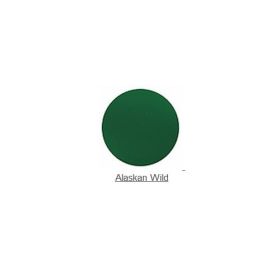 NYX Girls Nail Polish 2 (Option: Alaskan Wild)