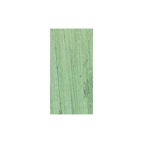 NYX Slide On Pencil - Green Papaya (Option: Default Title)